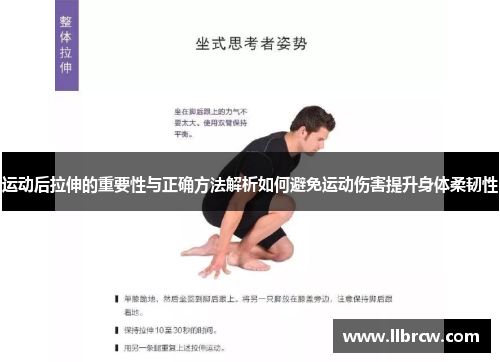 运动后拉伸的重要性与正确方法解析如何避免运动伤害提升身体柔韧性