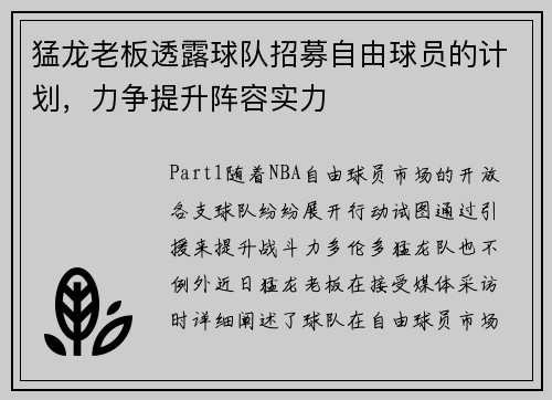 猛龙老板透露球队招募自由球员的计划，力争提升阵容实力